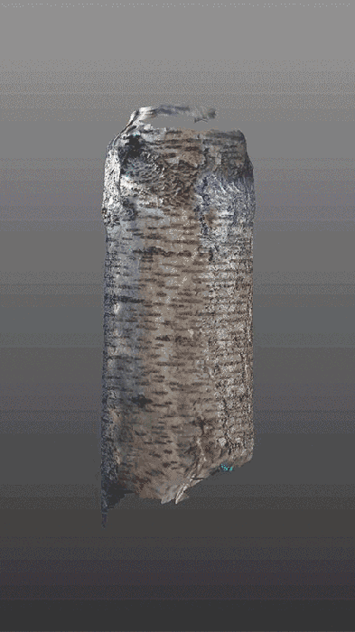 julie-taris-002-digital-bodies-3dscanapp-treetrunk_001_.gif