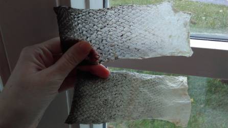 bio-fabric_comparison-1and2.jpg