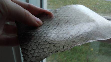 bio-fabric_experiment2-closeup.jpg