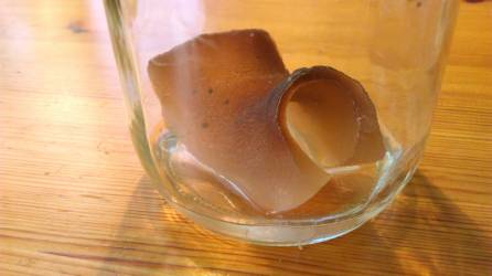 bioplastic-water-experiment-new-2.jpg